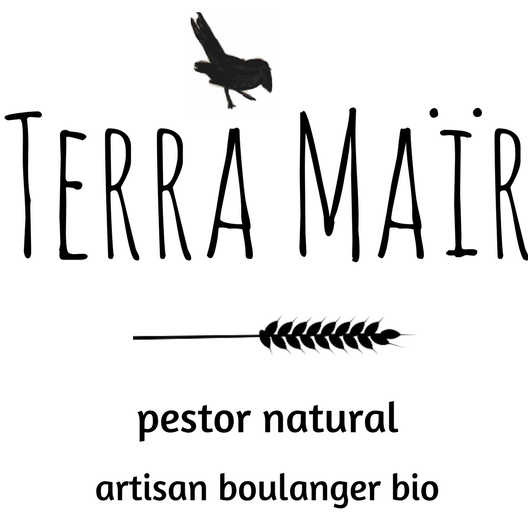 Terra Mair